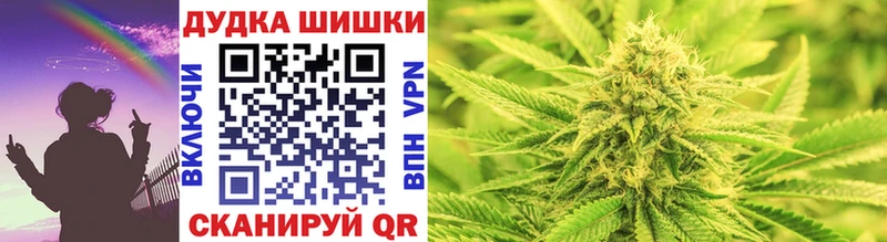 Где можно купить наркотики Суздаль Кокаин  ГАШИШ  Бошки Шишки 