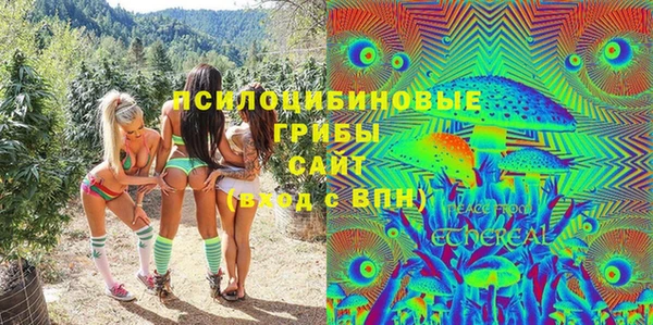 spice Алзамай