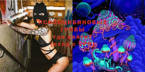 spice Алзамай