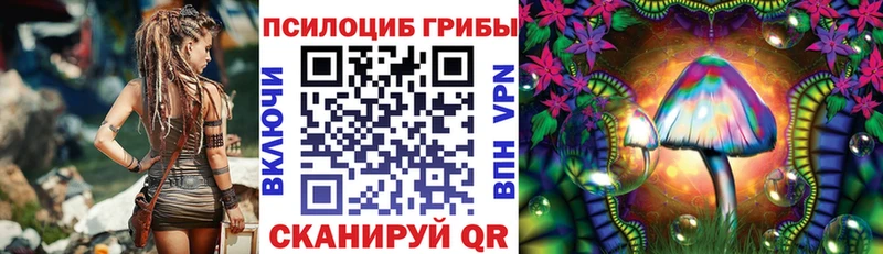 Галлюциногенные грибы Magic Shrooms  Суздаль 
